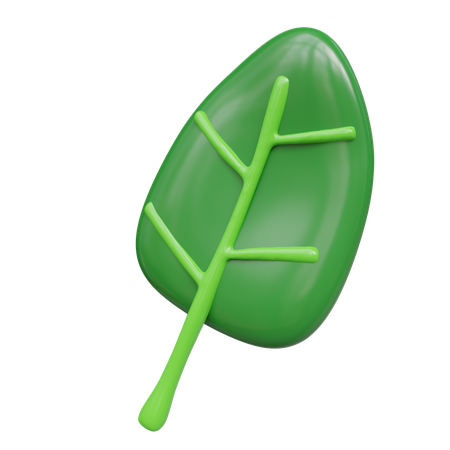 Spinach  3D Icon