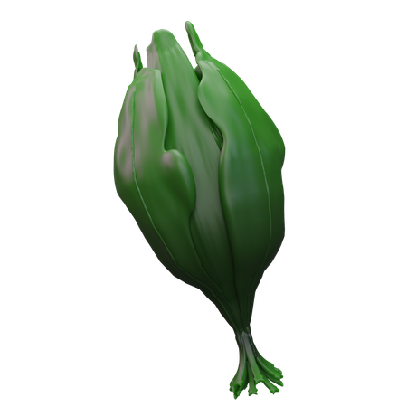 Spinach  3D Icon