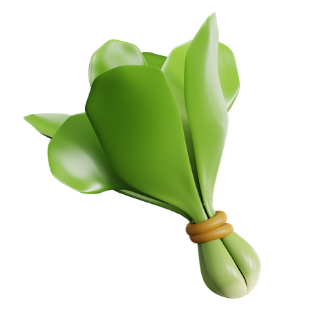 Spinach 3D Icon