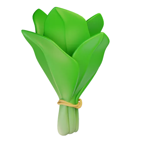 Spinach  3D Icon