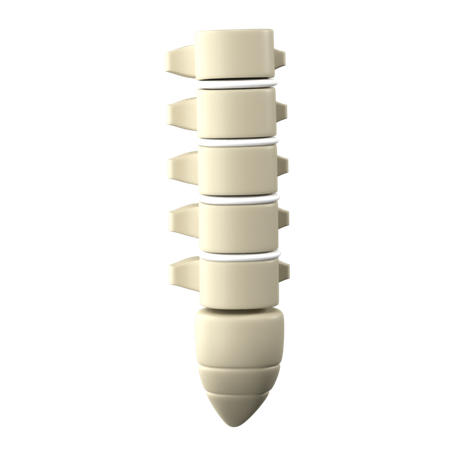Spine  3D Icon