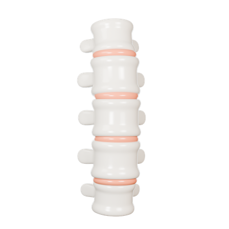 Spine  3D Icon