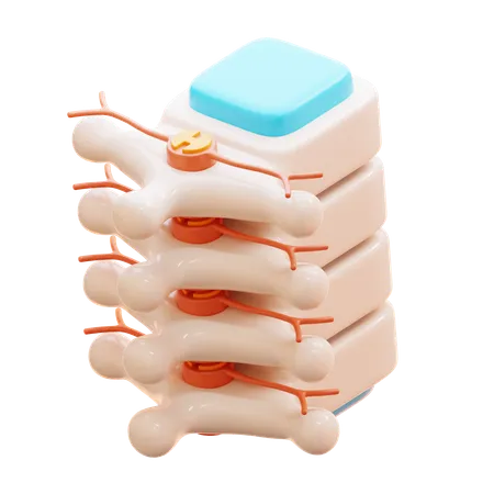 Spine  3D Icon