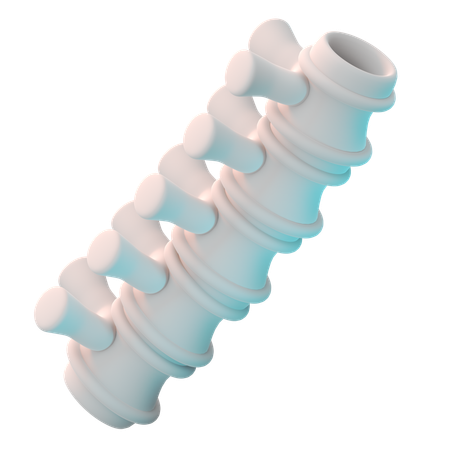 Spine  3D Icon