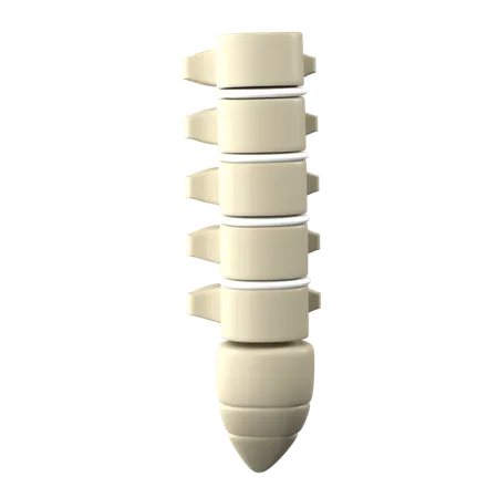 Spine  3D Icon