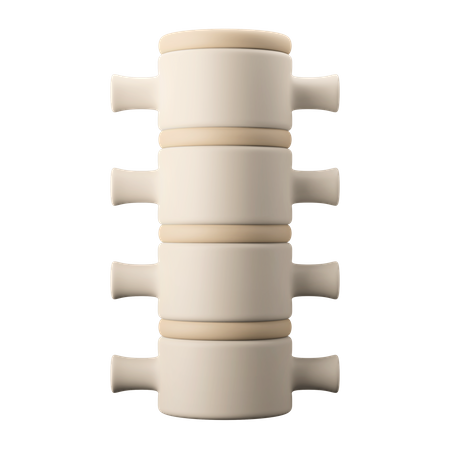 Spine  3D Icon