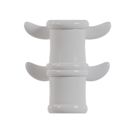 Spine  3D Icon