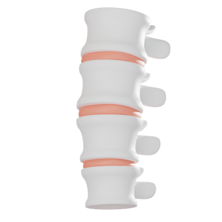 Spine  3D Icon