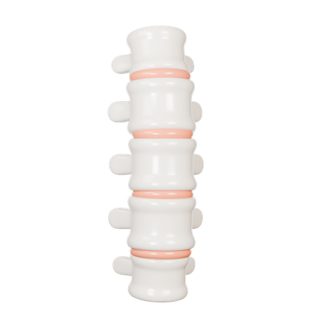 Spine  3D Icon