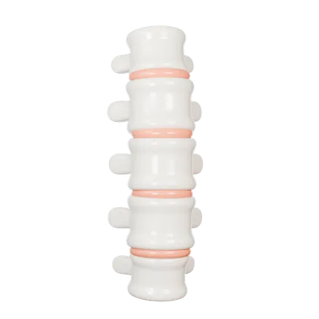 Spine  3D Icon