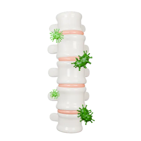 Spine Diseases  3D Icon