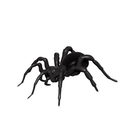 Spinne  3D Icon