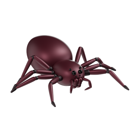 Spinne  3D Icon