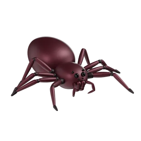 Spinne  3D Icon