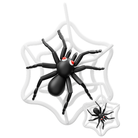 Spinne  3D Icon