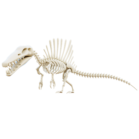 Spinosaurus  3D Icon