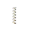 Spiral Abstract Shape