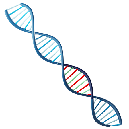 Spirale d'adn  3D Icon