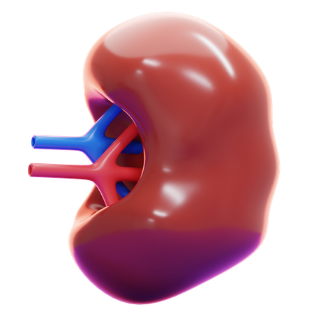 SPLEEN  3D Icon