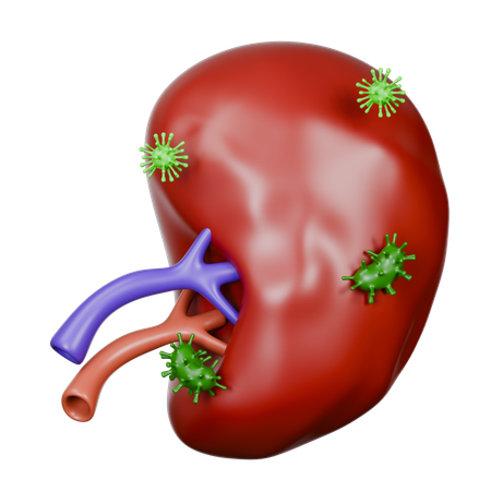 Spleen Diseases  3D Icon