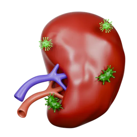 Spleen Diseases  3D Icon
