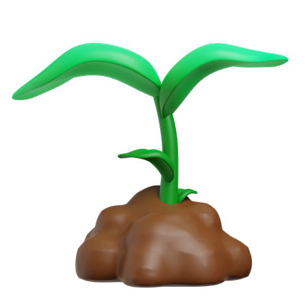 Sprießen  3D Icon