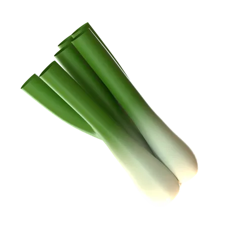 Spring Onion  3D Icon