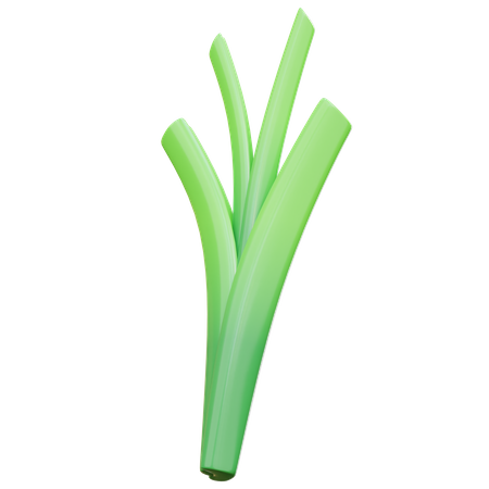 Spring Onion  3D Illustration