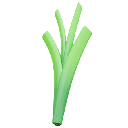 Spring Onion  3D Illustration