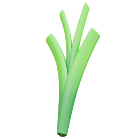 Spring Onion 3D Illustration