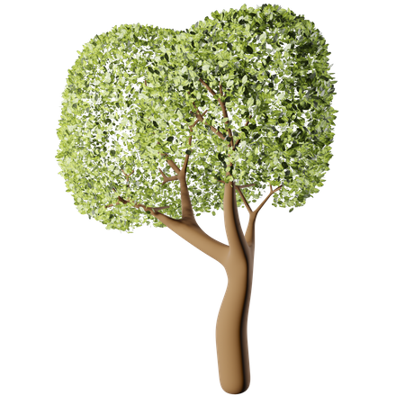 Spring Tree  3D Icon