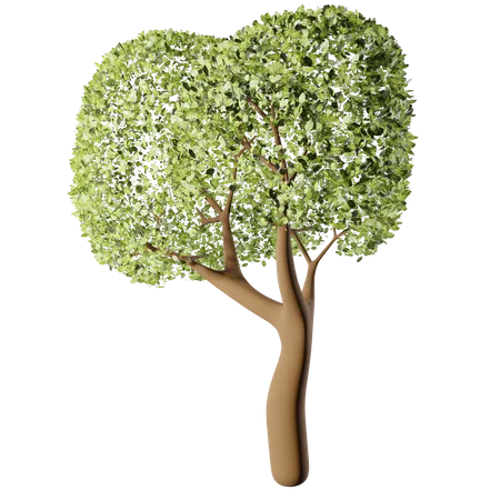 Spring Tree  3D Icon