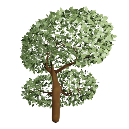 Big Tree Spring State 3 D Design 3D Icon