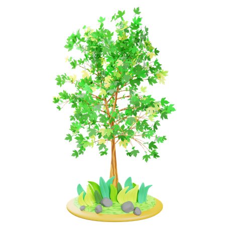 Spring Tree  3D Icon