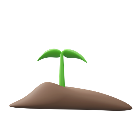 Sprießen pflanze  3D Illustration