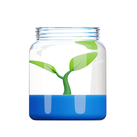 Sprout  3D Icon