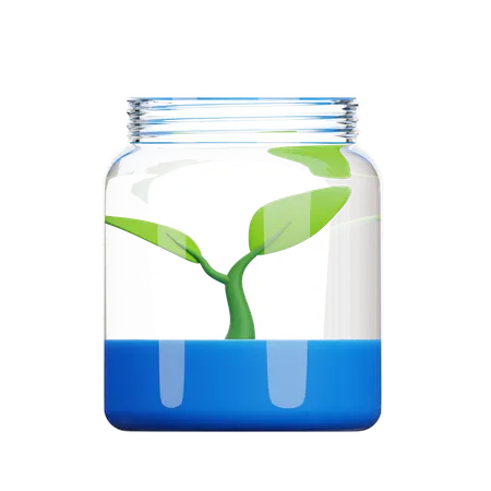Sprout  3D Icon