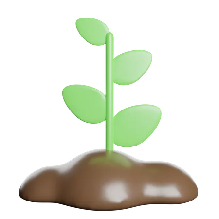 Sprout  3D Icon