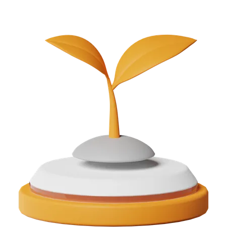 Sprout  3D Icon