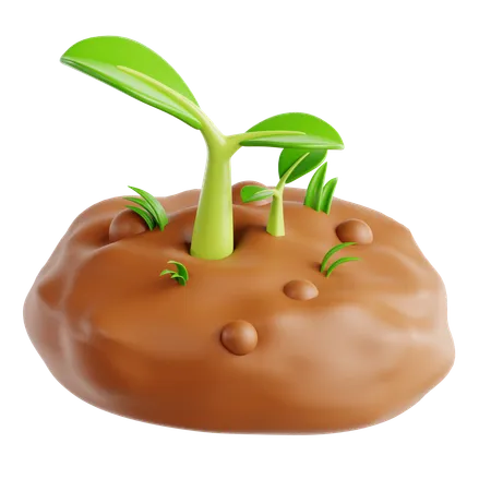 Sprout  3D Icon