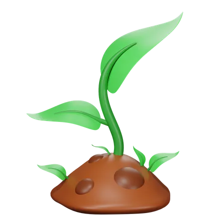 Sprout  3D Icon