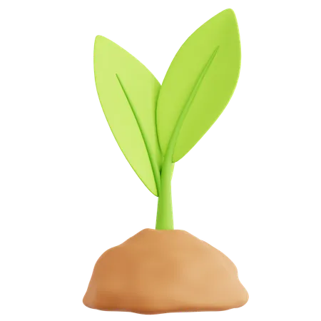 Sprout  3D Icon