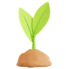 Sprout