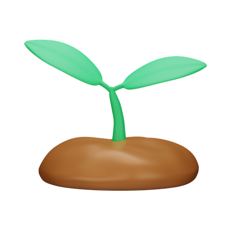 Sprout  3D Icon