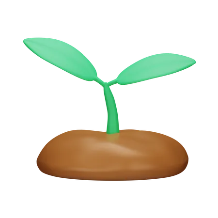 Sprout  3D Icon