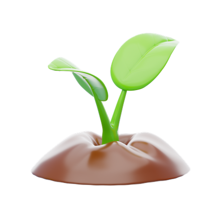 Sprout  3D Icon