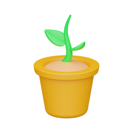 Sprout  3D Icon