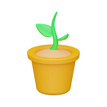 Sprout  3D Icon