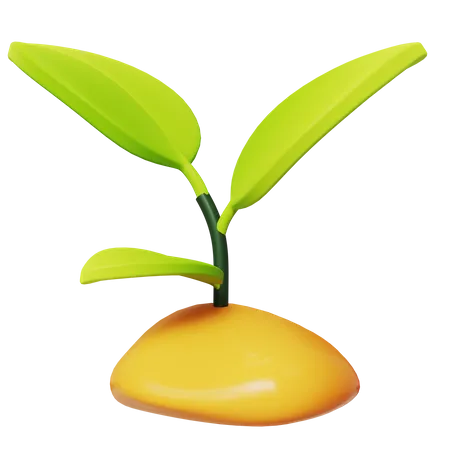 Sprout  3D Icon