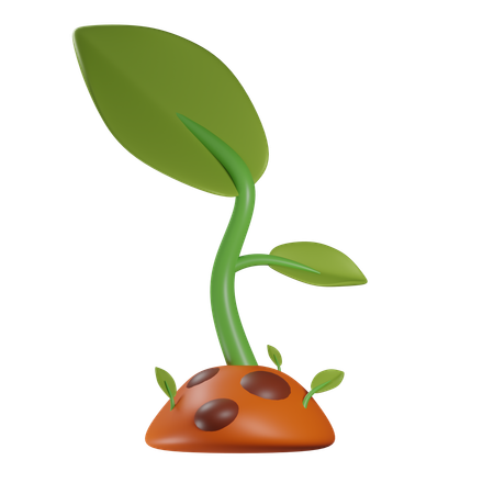 Sprout  3D Icon